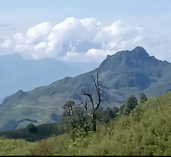 这些山漂亮吗？