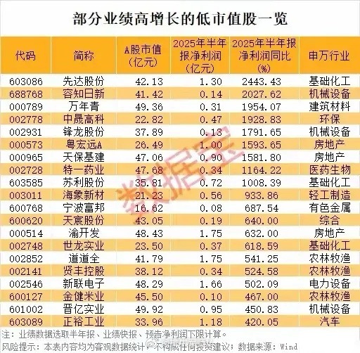 低市值+高业绩增速个股梳理分析！覆盖了化工、机械、建材 等17大行业，2025半