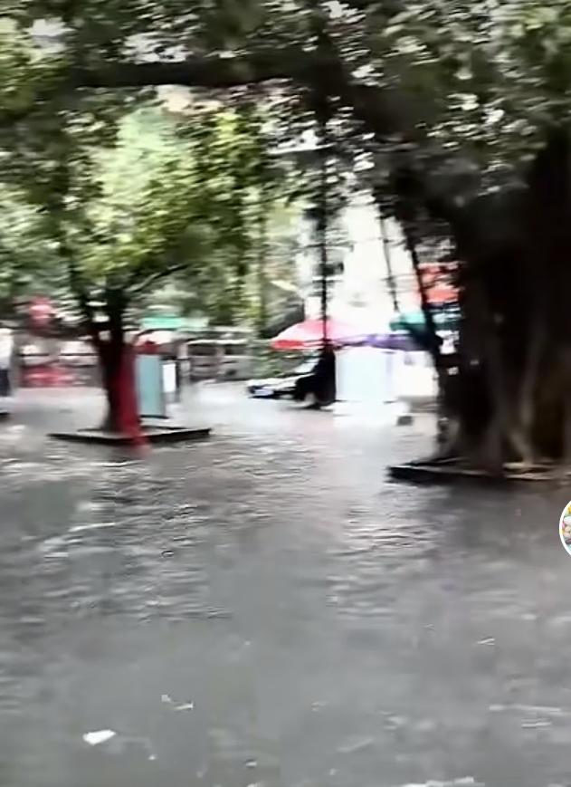 七点多钟下了一场大雨，街头就变成了这样。