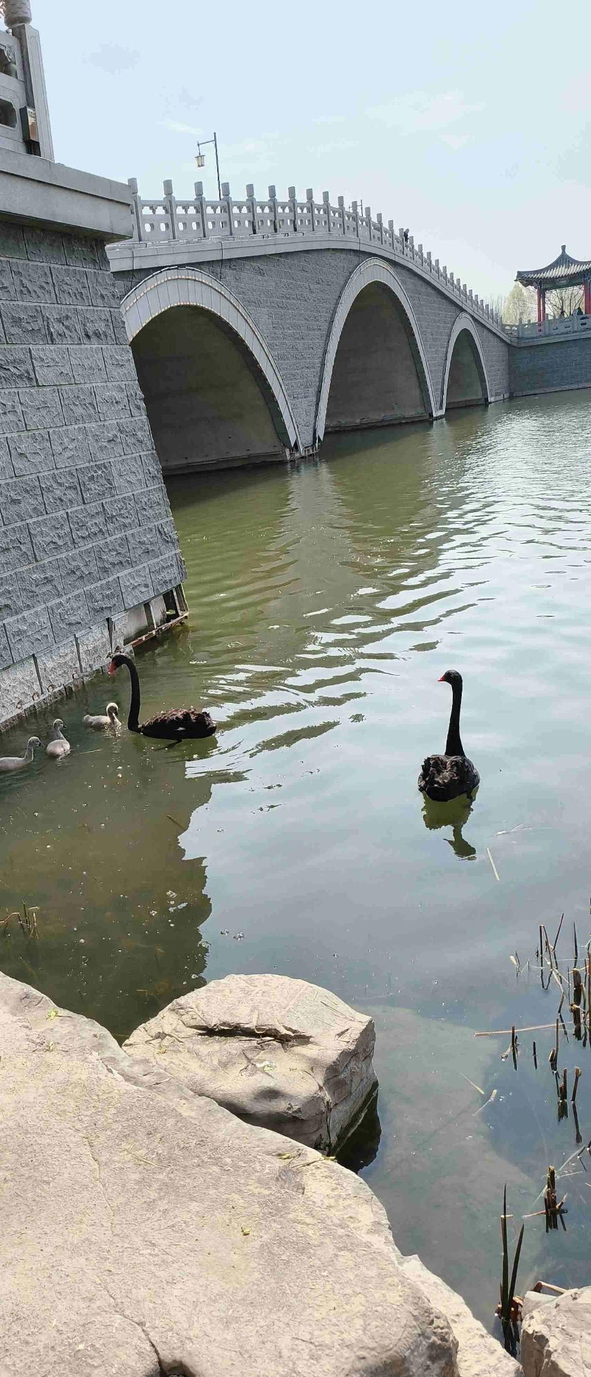 我的今日状态：😁轻松愉快
我这里的天气：☀️晴天