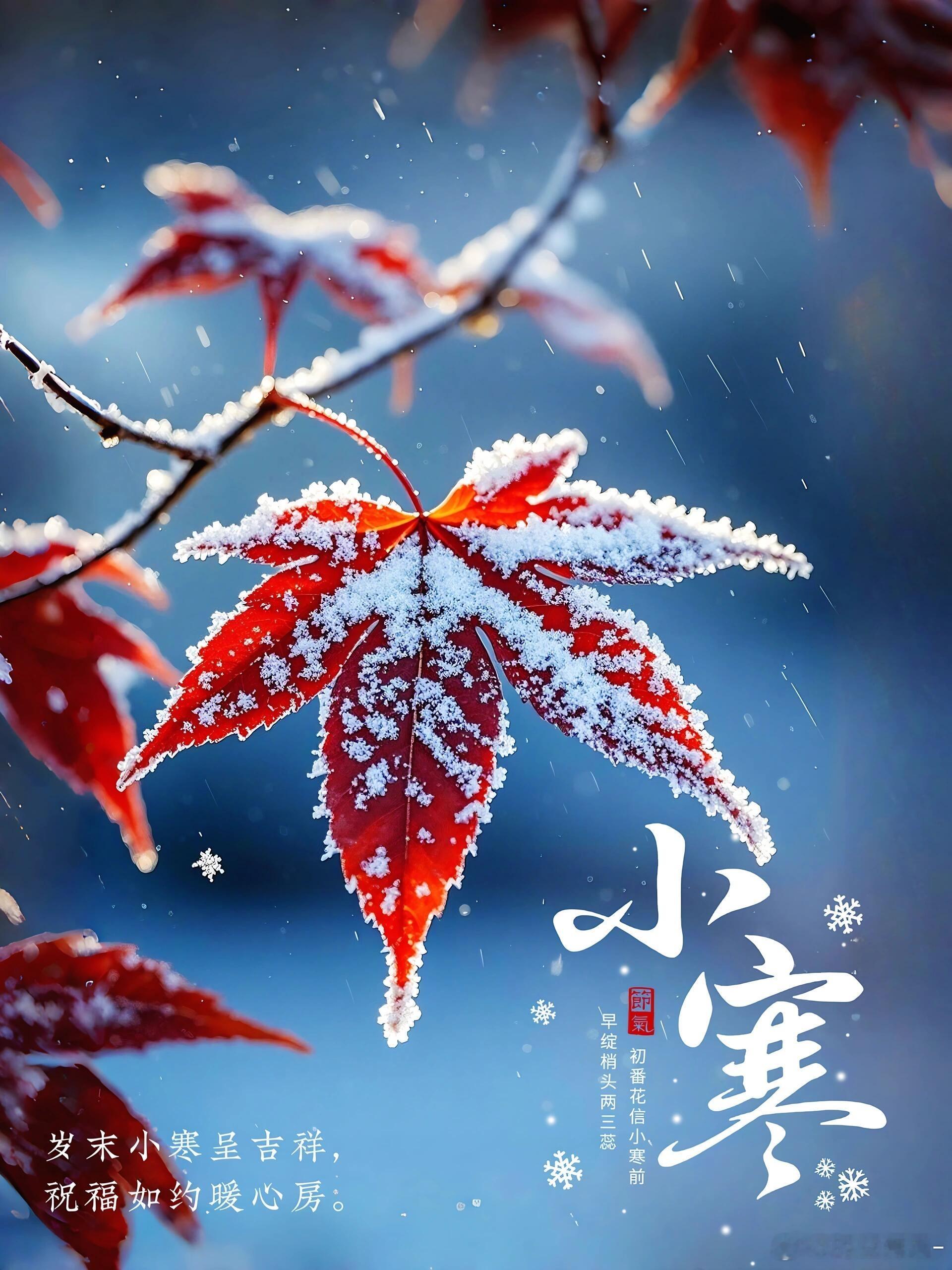 小寒，冬寒料峭，静待春归。 