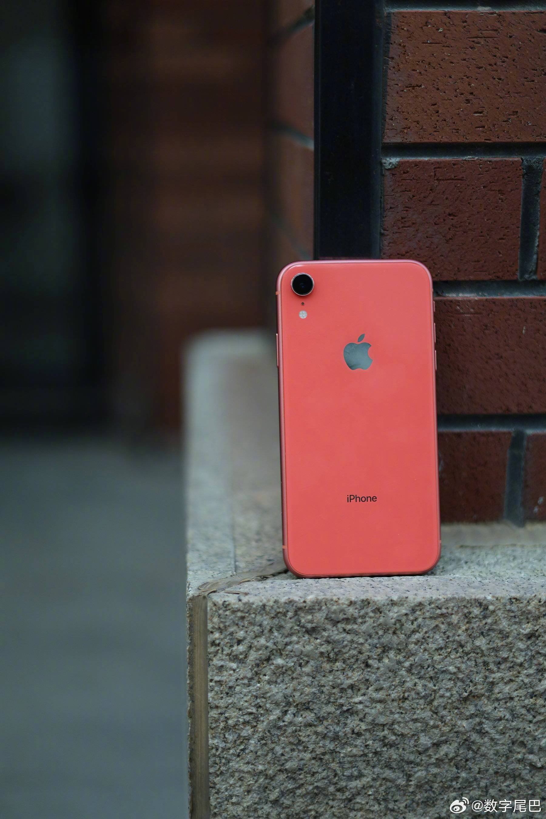 尾巴生活再用 iPhone xr📱✨ 这抹珊瑚红陪我走过好几个春夏秋冬啦，今天