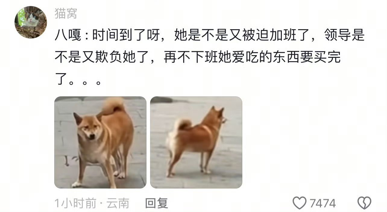 离职唯一对不起的是公司楼下的狗 再不是说离职是老板的损失，是公司的损失，而是对不