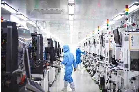 近日，荷兰政府宣布暂停荷经济大臣根据《货物可用性法案》签发的行政令。

荷兰政府