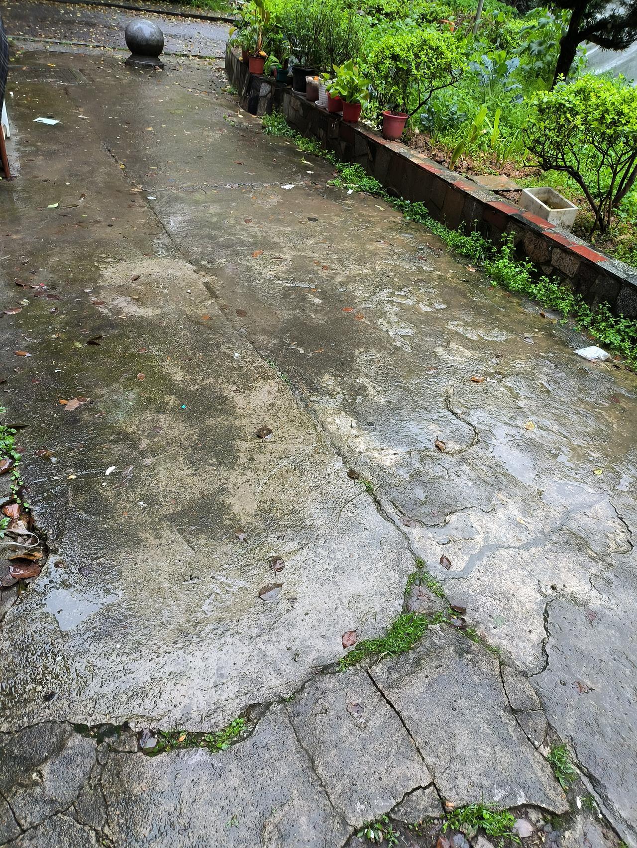 天天下雨，天天下雨，这雨和大家杠上了了啊