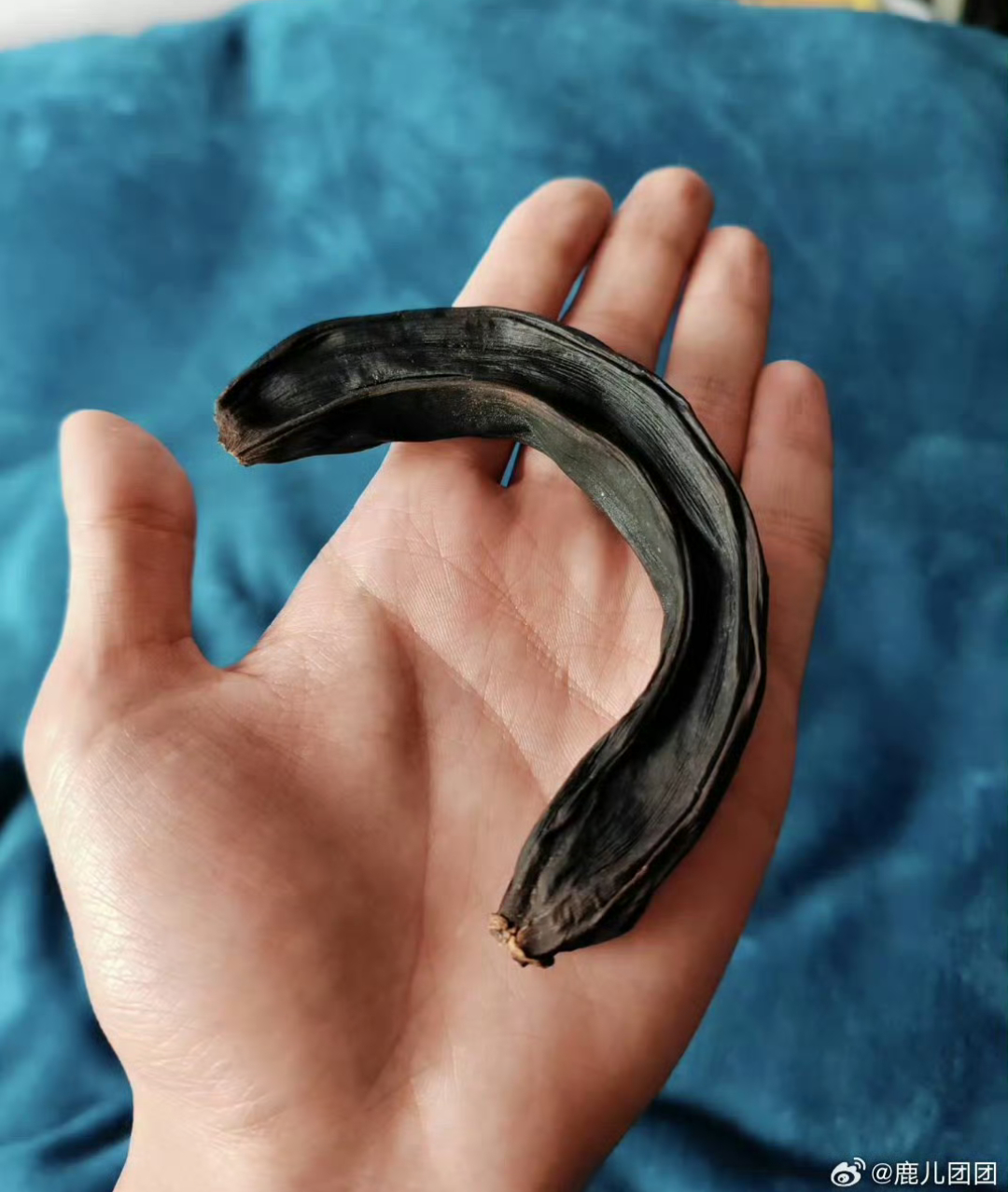 放了八年的香蕉 艺术价值极高，有幸看到8年老物件—香蕉🍌，看起来真像酸黄瓜，想