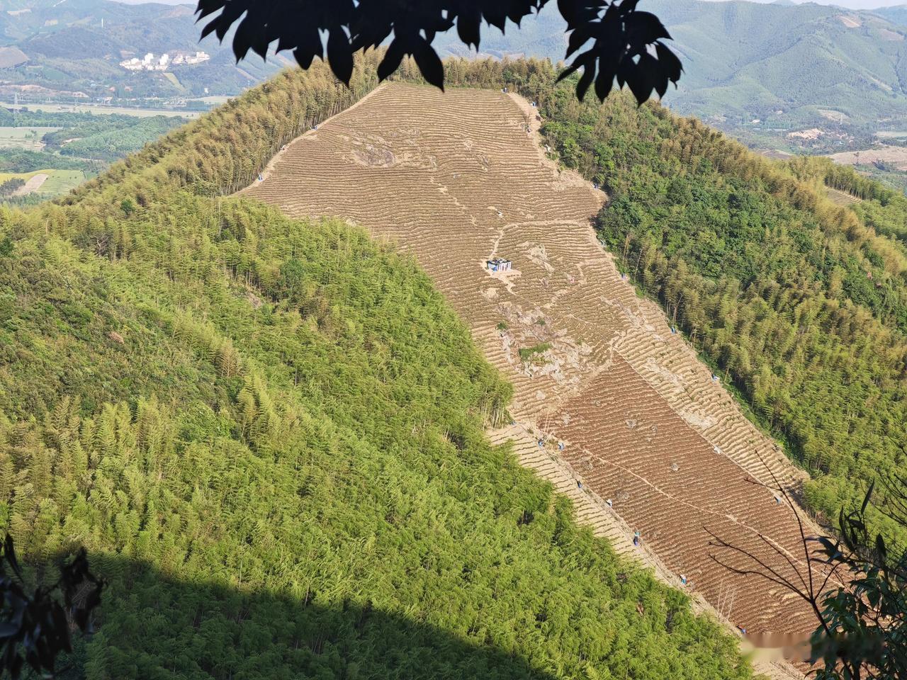 五一游览了西塞山：


《渔歌子·西塞山前白鹭飞》

张志和〔唐代〕



西塞