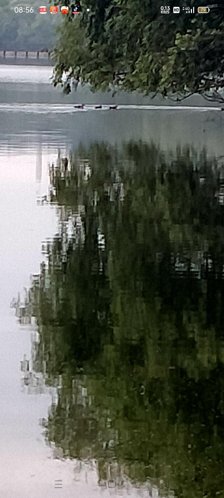 这美景。