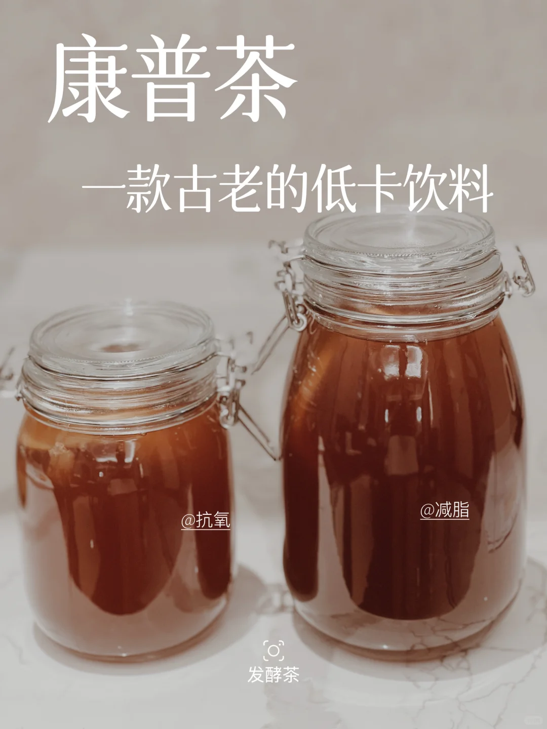康普茶｜一款相见恨晚的低卡饮料！