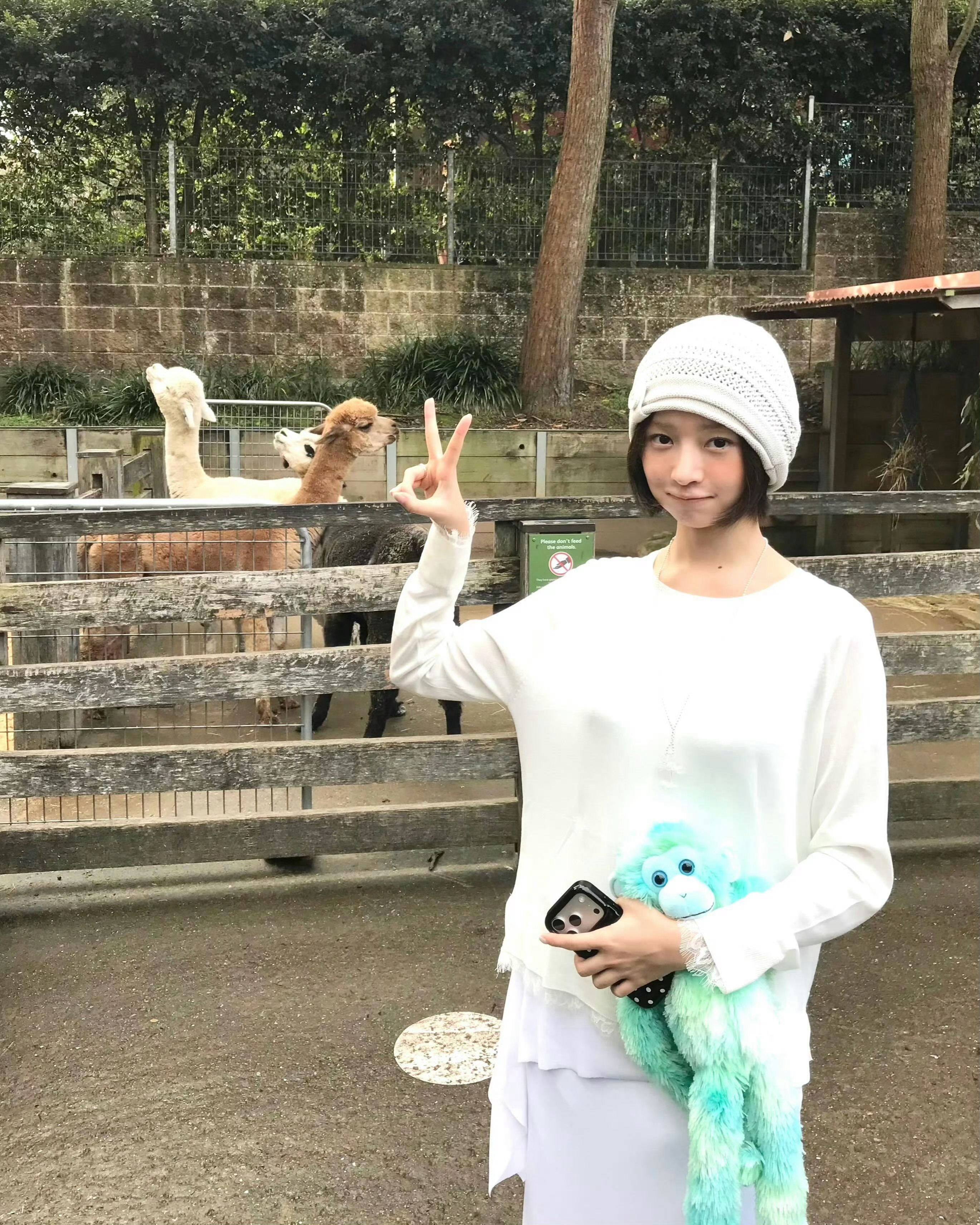 Rei直井怜の日常生活记录🧸🍨📝 
