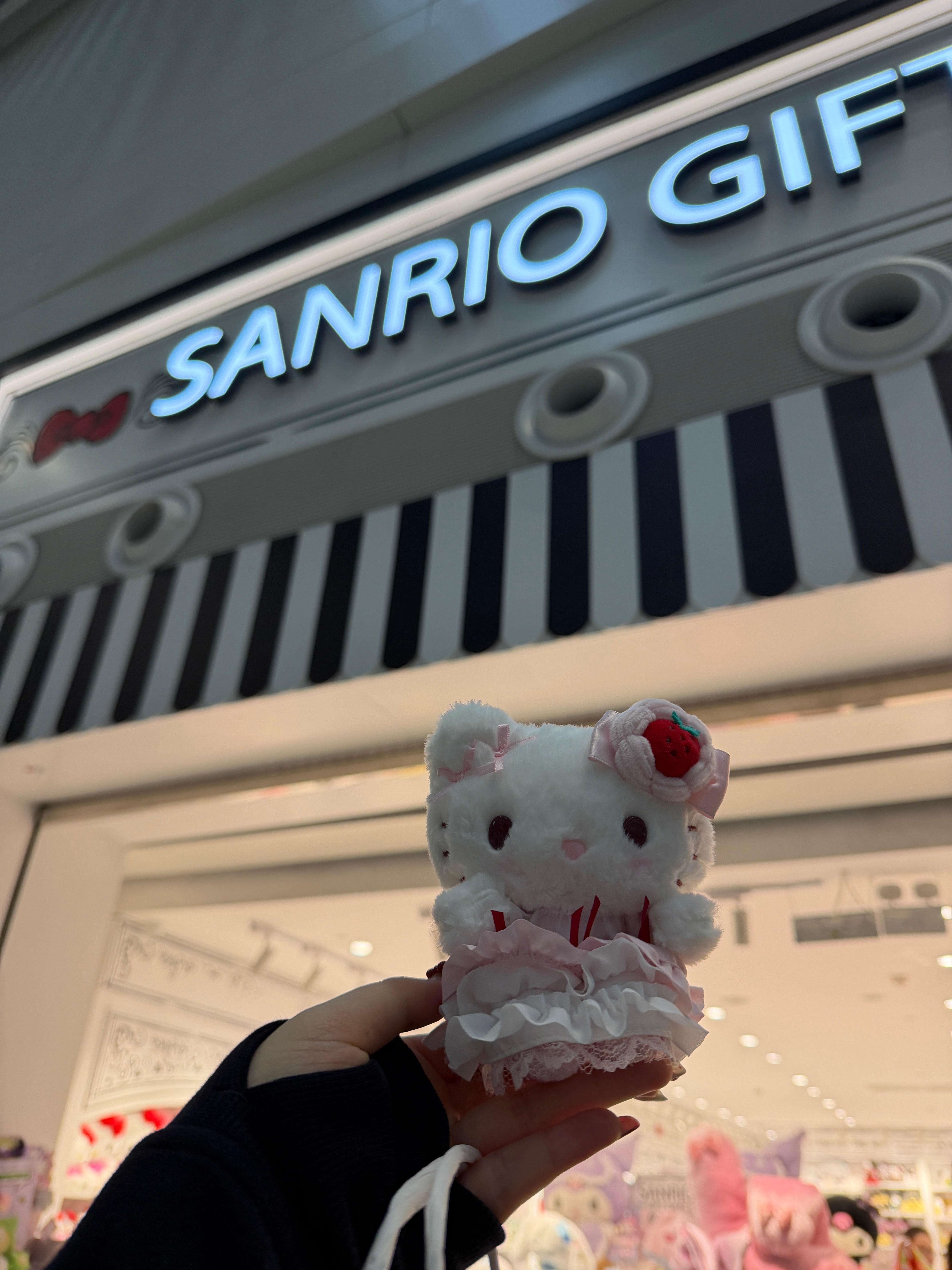 正面看，萌，背面看，萌，侧面看，萌…kitty你怎么如此美萌