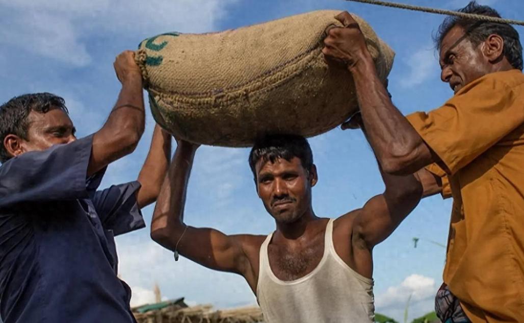 被逼到墙角？莫迪发出最后警告：再不放行化肥，14亿人将迎来危机

2026年3月