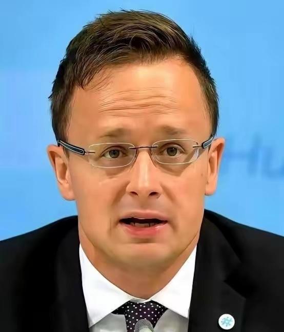 全欧洲估计都得被匈牙利外长这句话给噎一下，他说：“跟中国合作，不是可选项，是欧洲