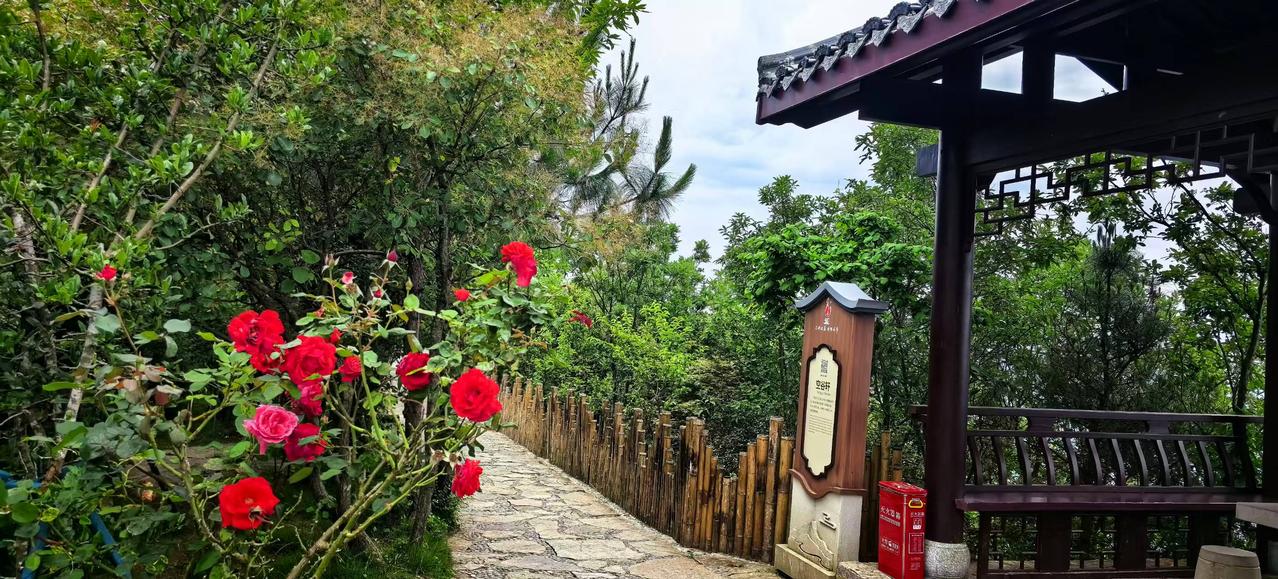 春暖花摇云