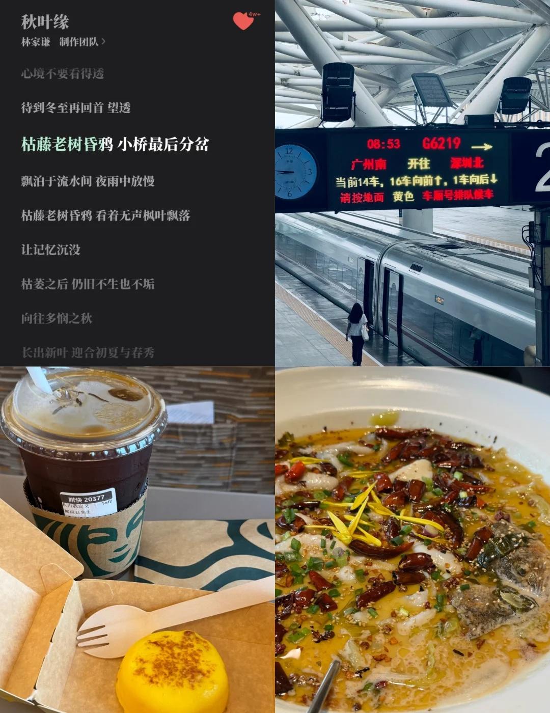 六月一夜入秋🍂
好舒服 无霖到系夏天感受到广州秋天.
经过一些秋与冬 秋叶缘