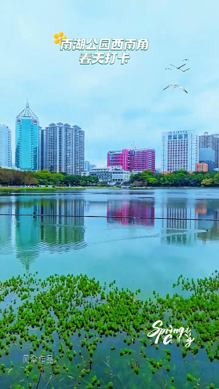 南湖公园西南角春天打卡。