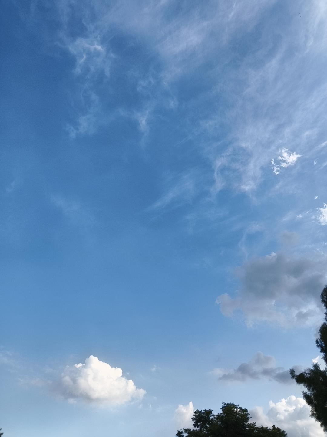 夏日生活打卡季孩子喝醉酒啦，看看他老板发的视频，只有一个喝白酒的，本想说他两句，