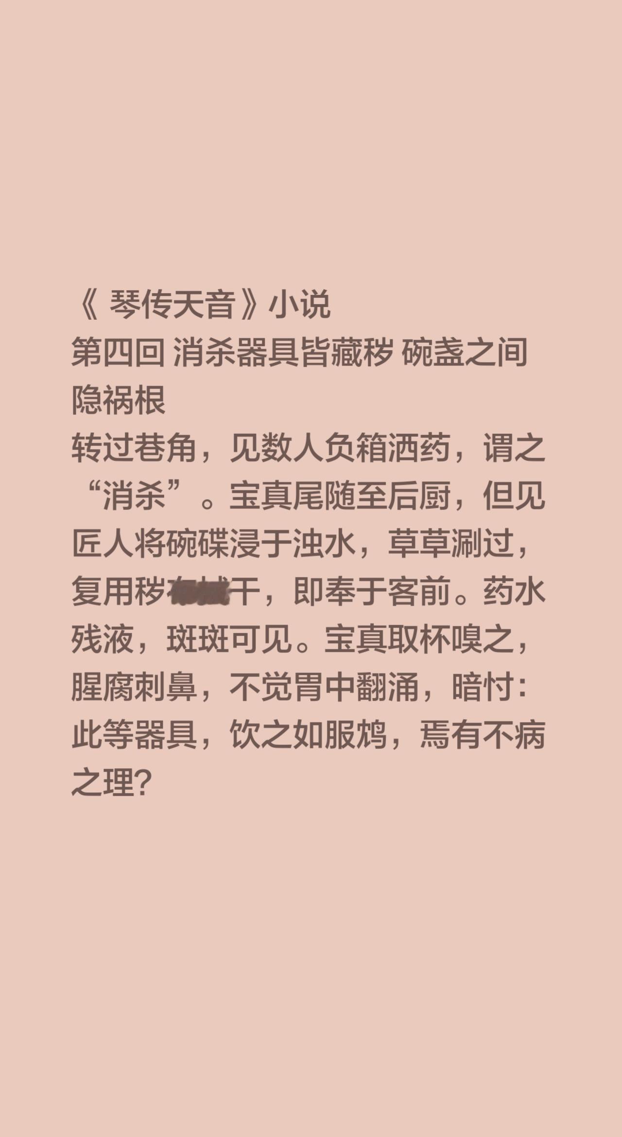 《 琴传天音》小说
第四回 消杀器具皆藏秽 碗盏之间隐祸根
转过巷角，见数人负箱
