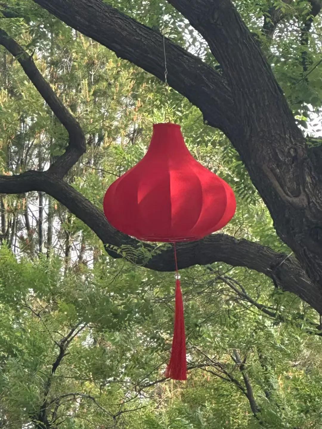 一句早上好，看似轻松三个平常字，其实是把最贴心的牵挂、挚爱、祝福、祝愿都刻在我心