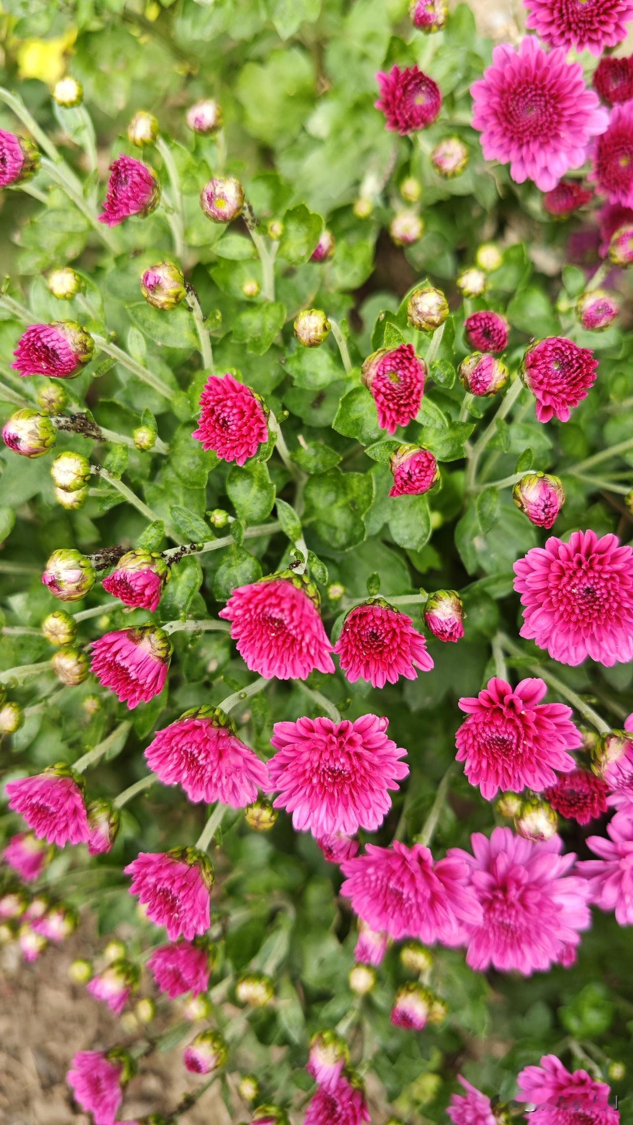 比我儿子小两岁的小学同学，小升初被分到了同一所初中。

就在刚才，这个小学同学家