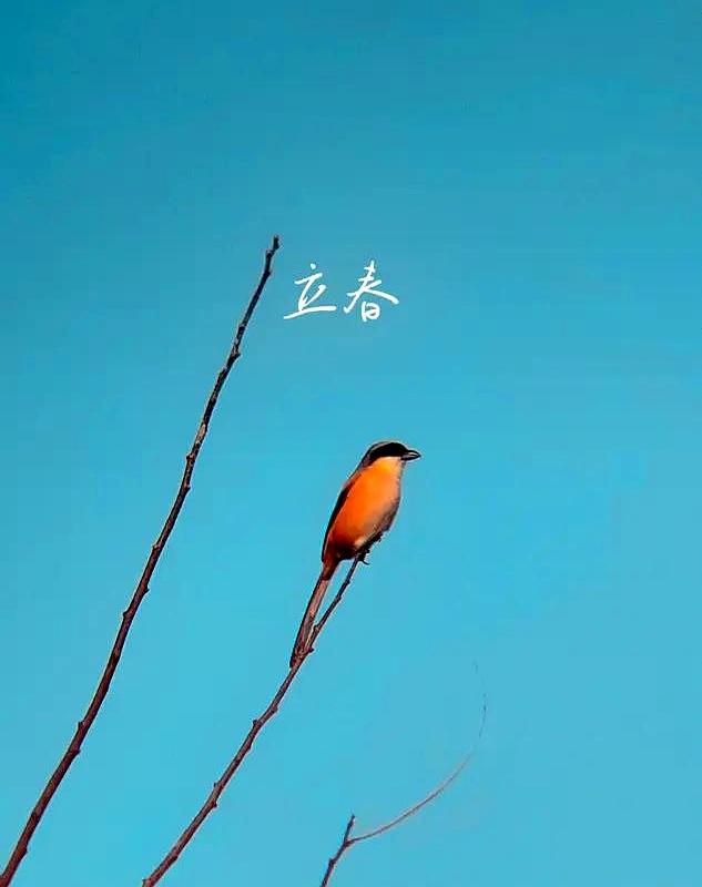 凌晨四点猛地惊醒，这一觉醒得简直莫名其妙。
平时起夜都是一两点，翻个身也就过去了