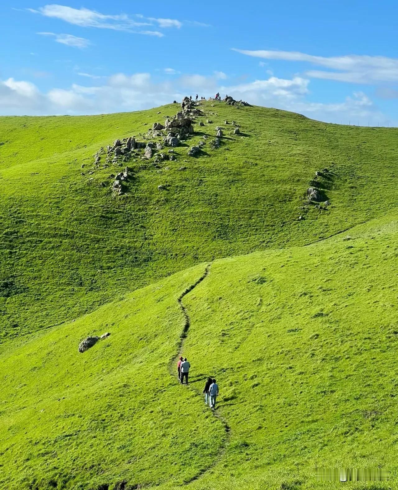 所有的股票都是处于
上山和下山的轮回之中！

并且，
下山就是为了上山，
上山就