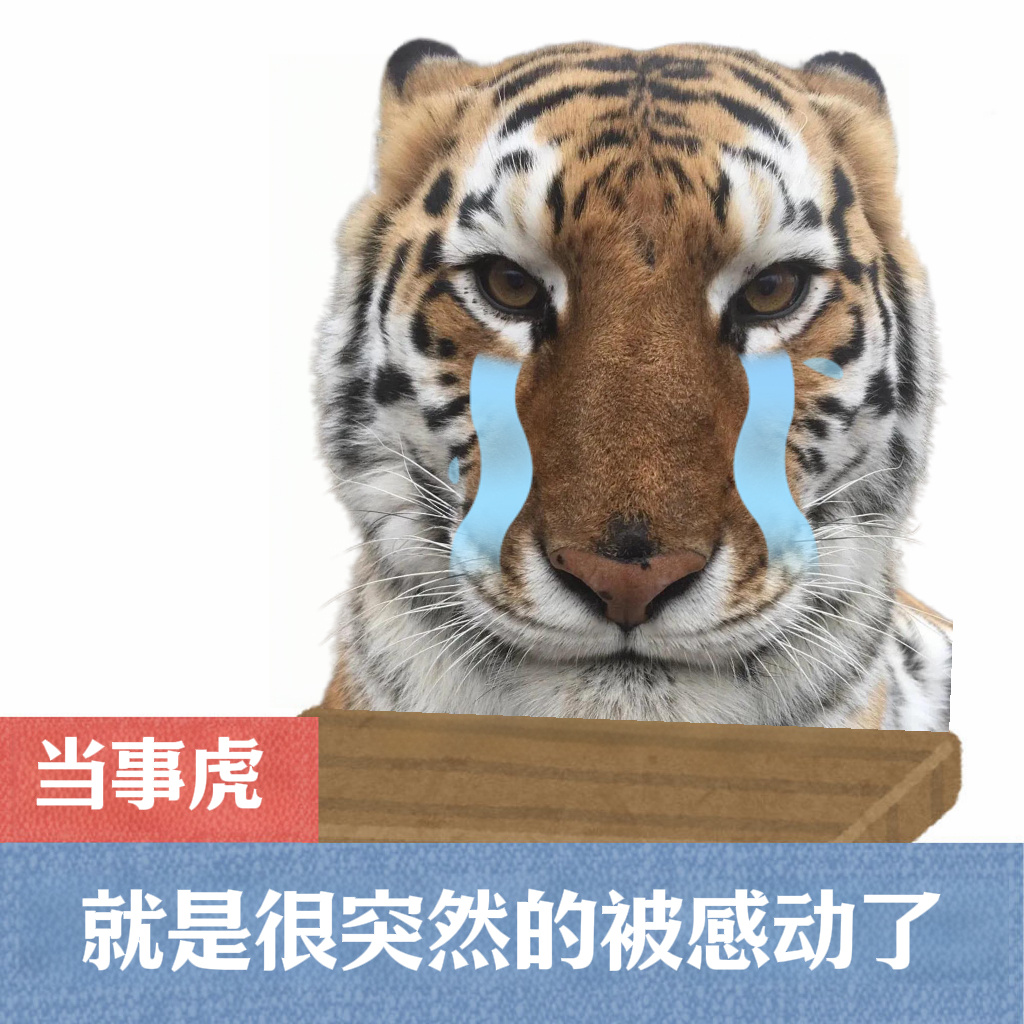朵姐真的好好…本虎在线飙泪了！ 