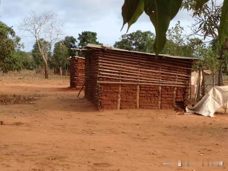 #为什么非洲农村建房都喜欢用泥巴敷#
非洲农村建房并不喜欢用泥巴，他也想住有水有