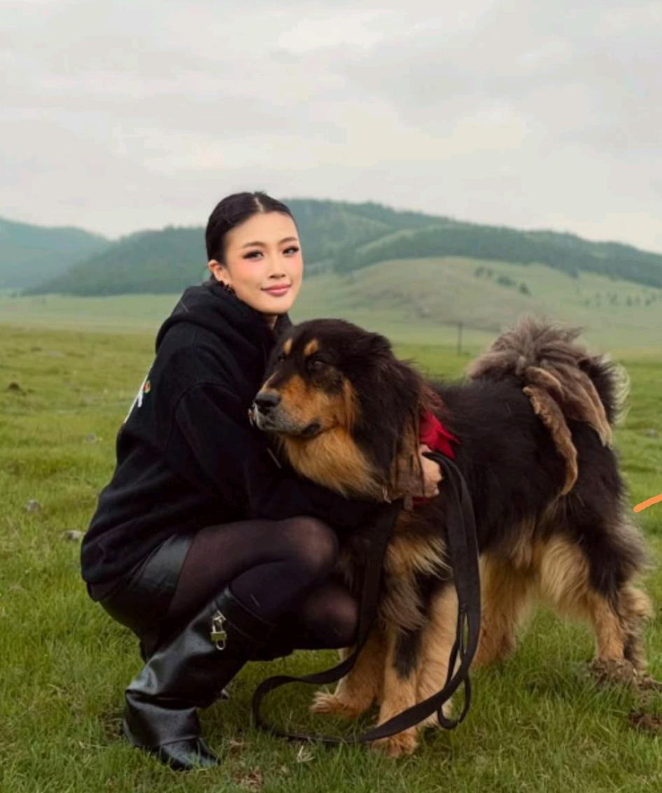 蒙古牧羊犬