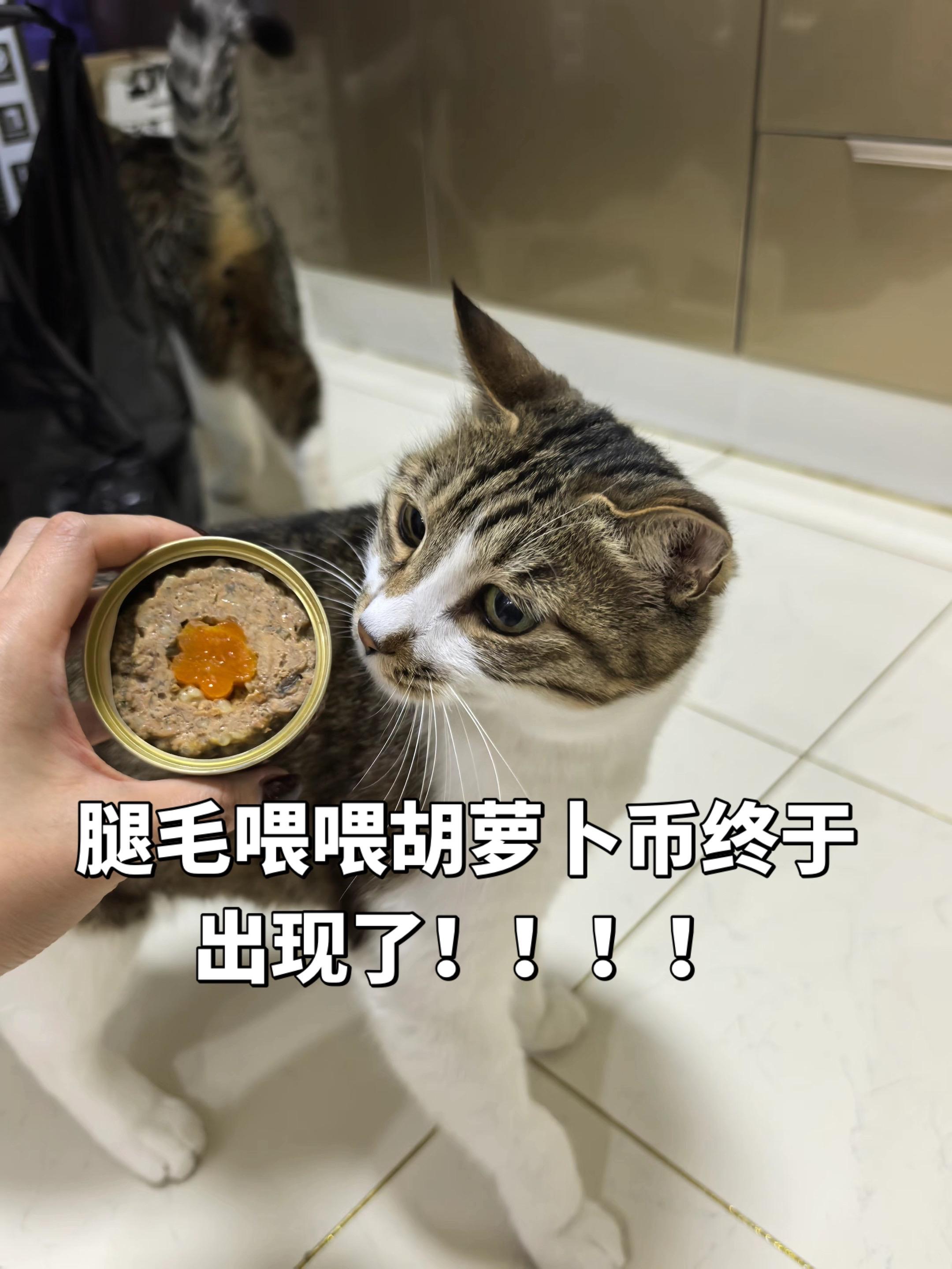 腿毛喂喂胡萝卜币开出进度1/10！！！