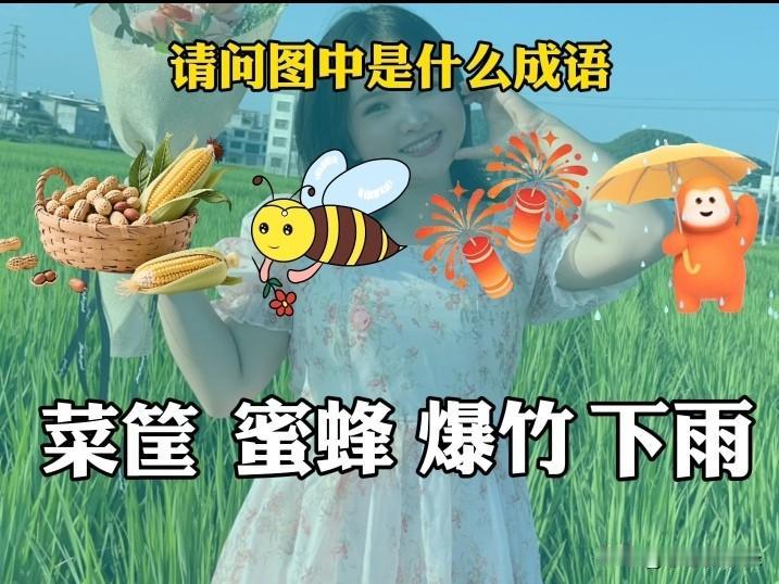 这“菜筐 蜜蜂 爆竹 下雨”的成语大挑战太有意思啦！就像之前那些成语挑战一样，充