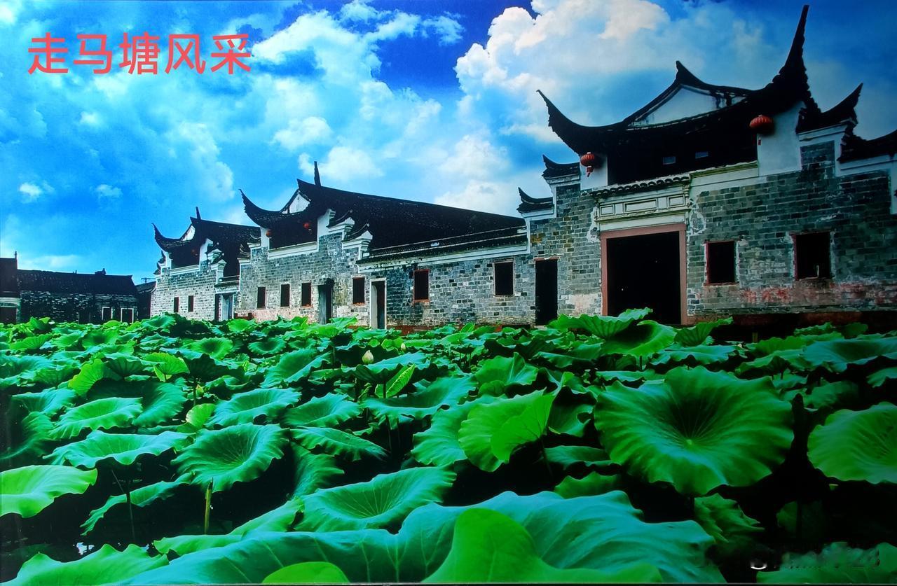 走马塘，中国进士第一村，是一个正能量满满地方。心心念念了很久，今天终于驾车成行，