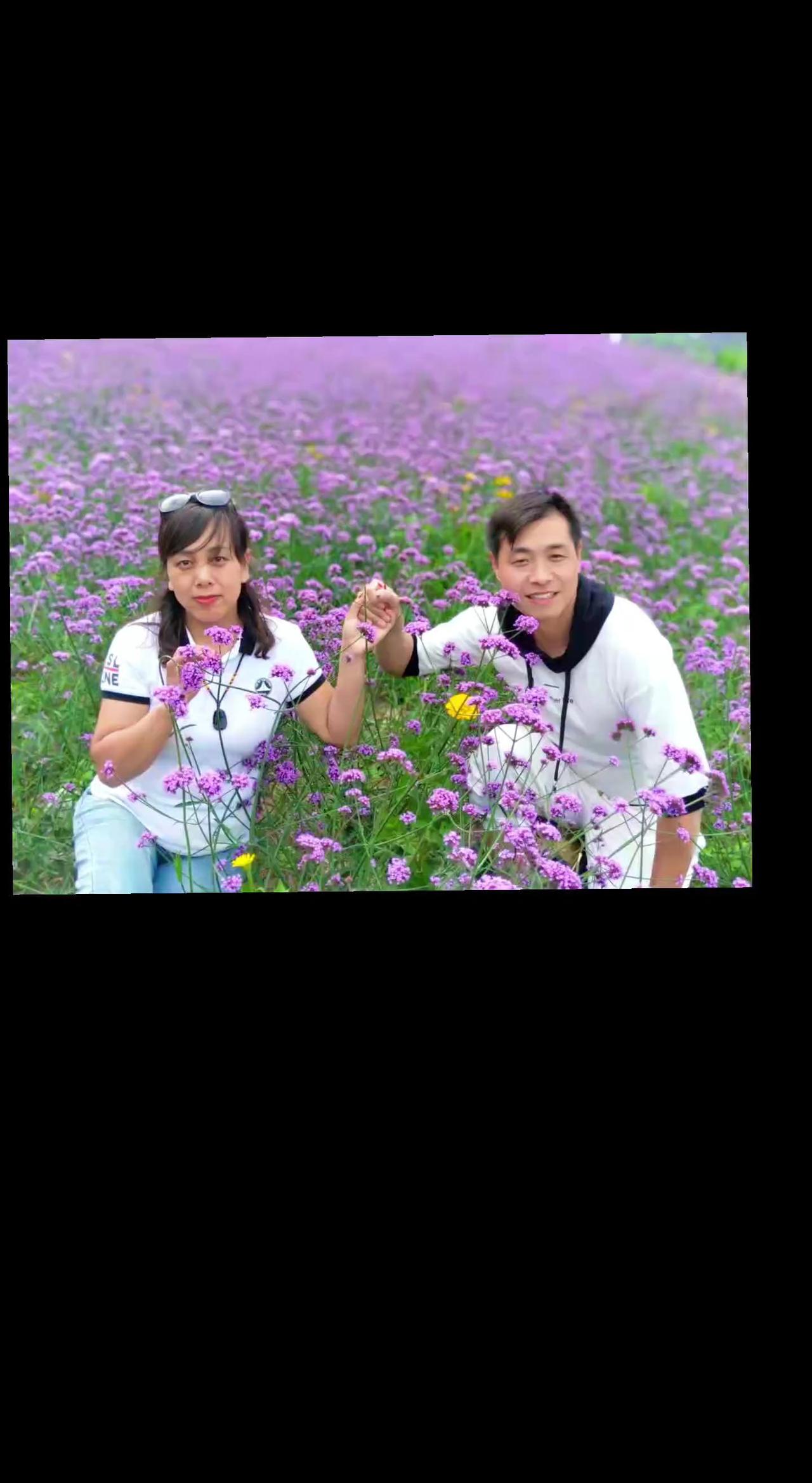 定格美好瞬间 浪漫花海 在这遇见紫色花海
