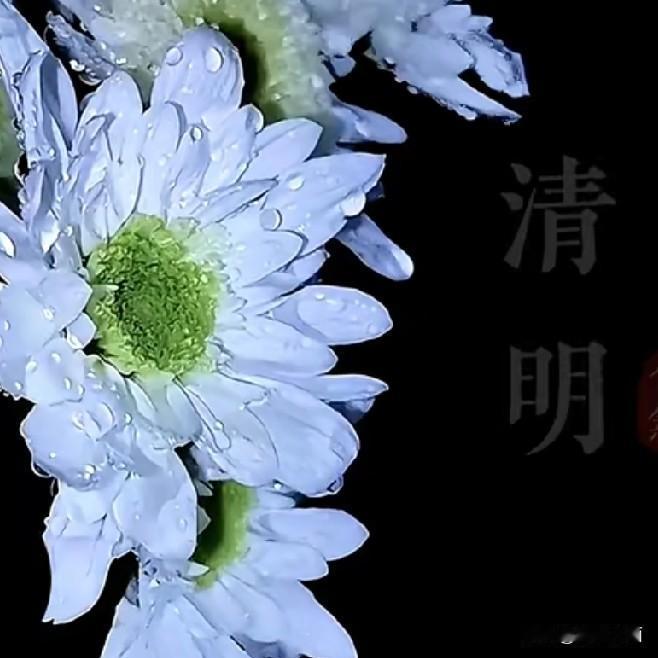 宇宙中俯瞰，只有两种人，死去的和活在人间的人。
死去的人肉体成灰，活着的人心如死