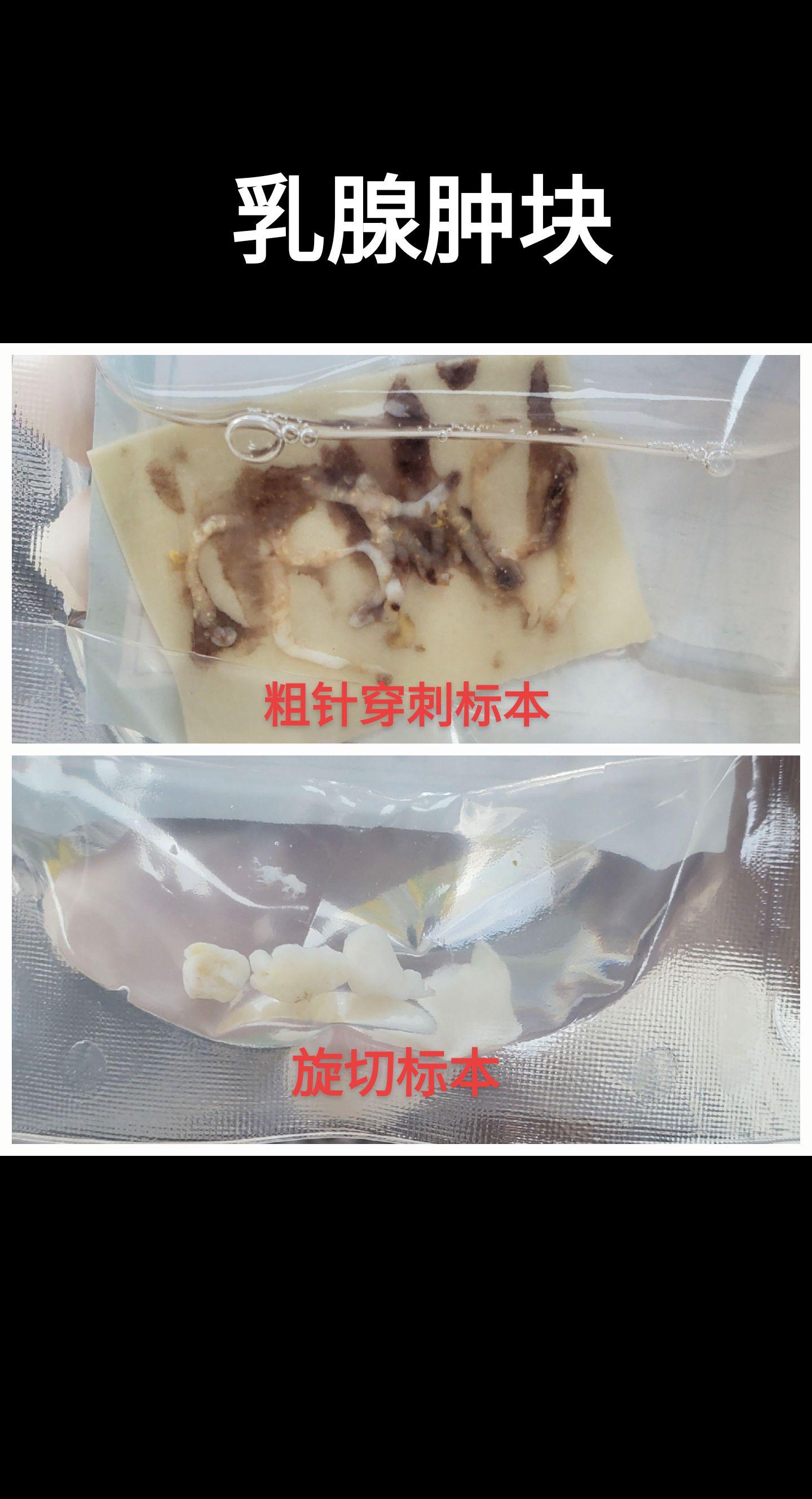 显微镜下的世界