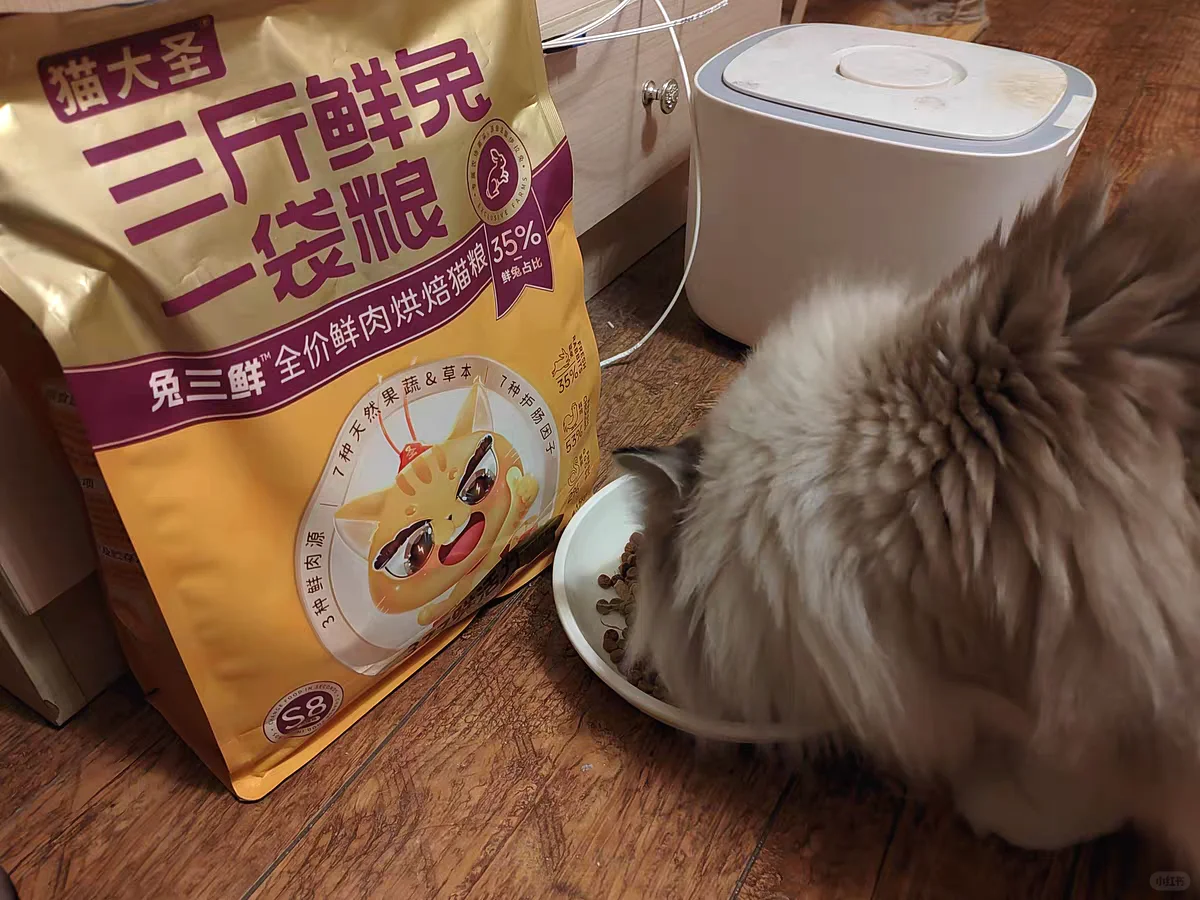 跟风买了一次猫大圣，看看是不是真的好