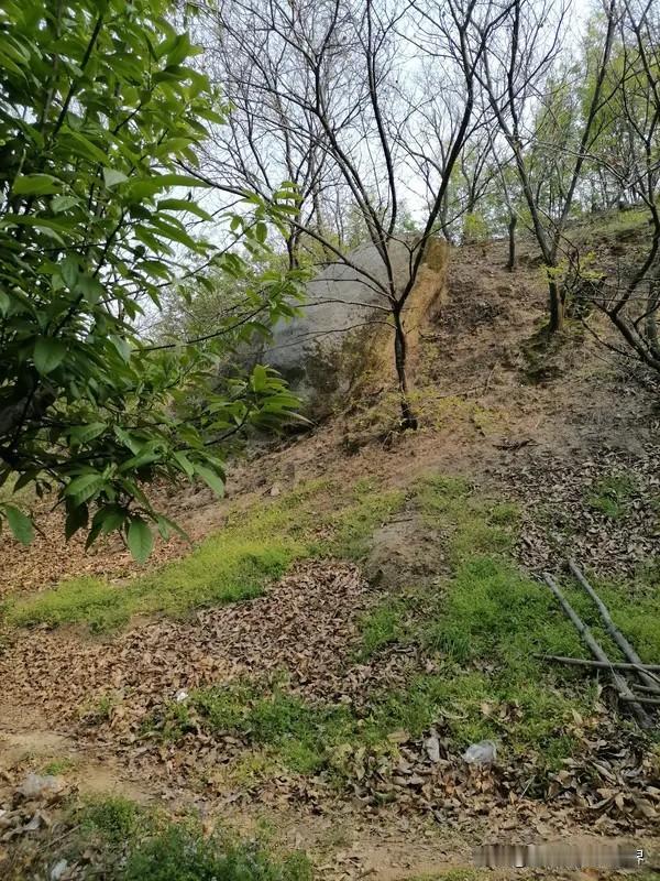 “王莽撵刘秀”的传说，在平顶山地区广为流传，迄今已有两千多年历史，被列入河南省非
