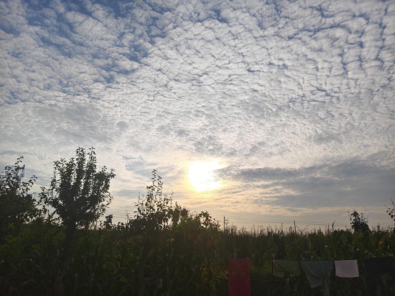 在运城市临猗县，清晨6点48，太阳🌞从东方冒出头来，空中的云朵如泡沫层层散开，