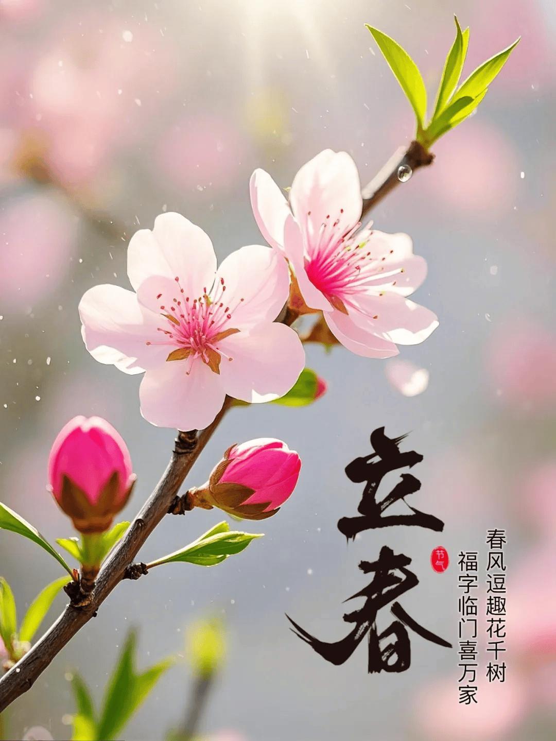 各位王胖粉丝：
我度过了最痛苦的3年，我都不知道自己是怎么过来的，我想王胖大部分