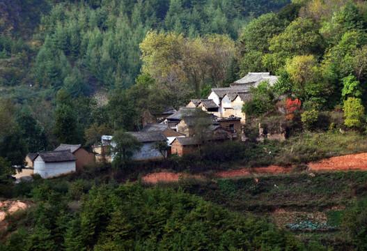深夜山顶一束光，河南大哥救了一家五口！
 
河南驻马店的山里，深夜冷得能冻透厚外