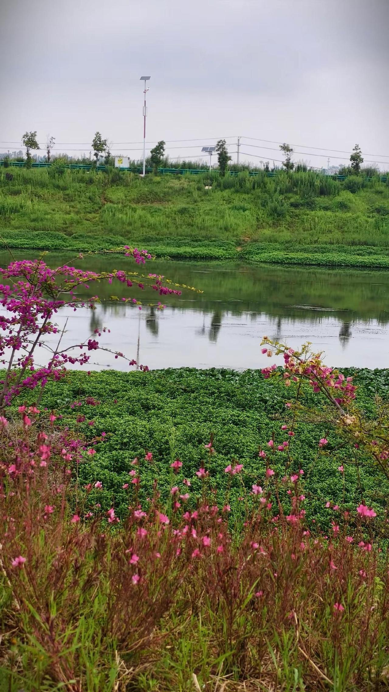 陆良，中源泽河公园，