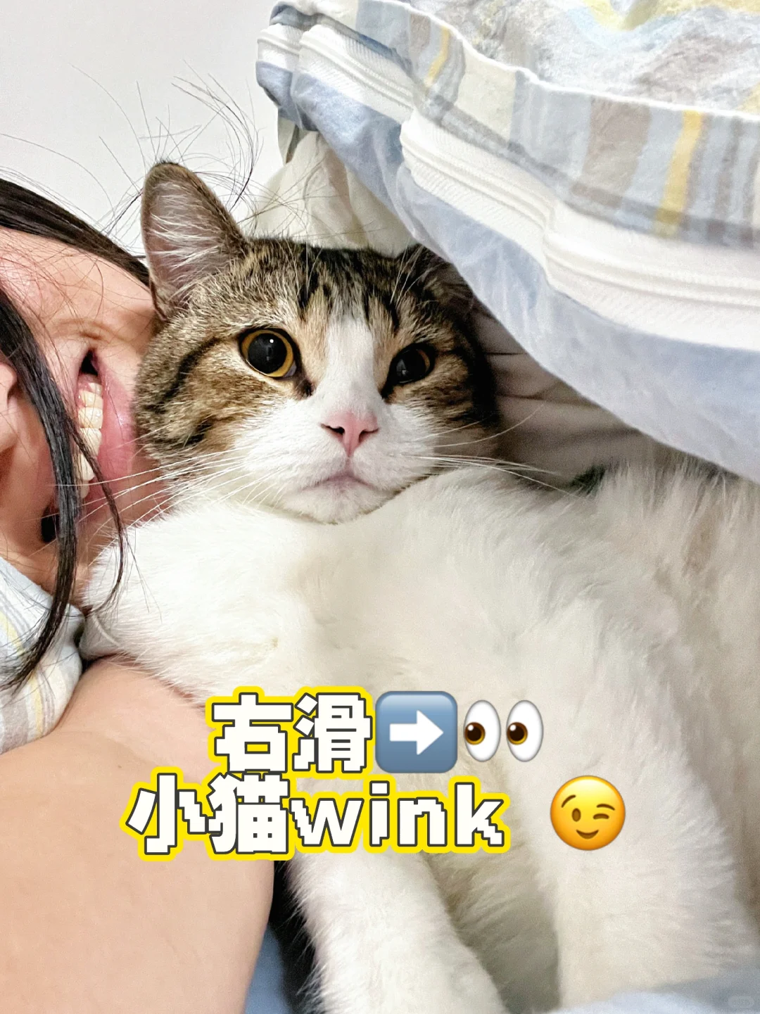 ❄️怀里有小猫，嘴角压都压不住🤓