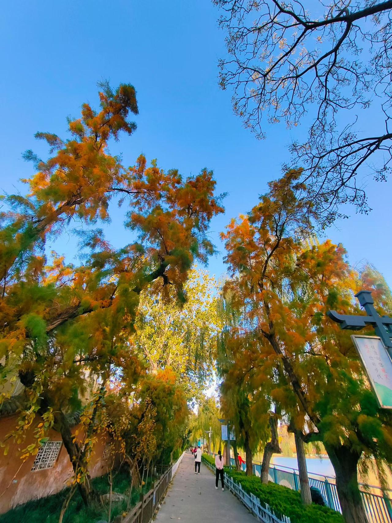 读书哪用啥高大上的理由，它最大的意义，就是花几块几十块，就能借别人的眼睛看遍山川