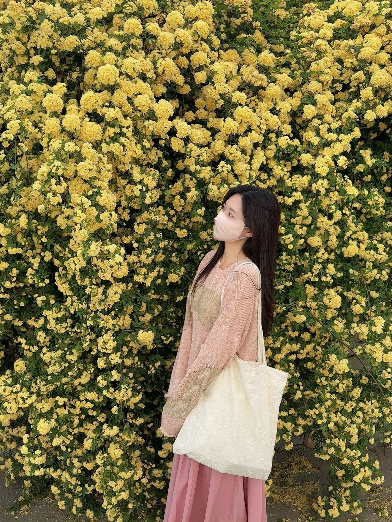 忙里偷闲的春日美好 赏花记得做好防晒