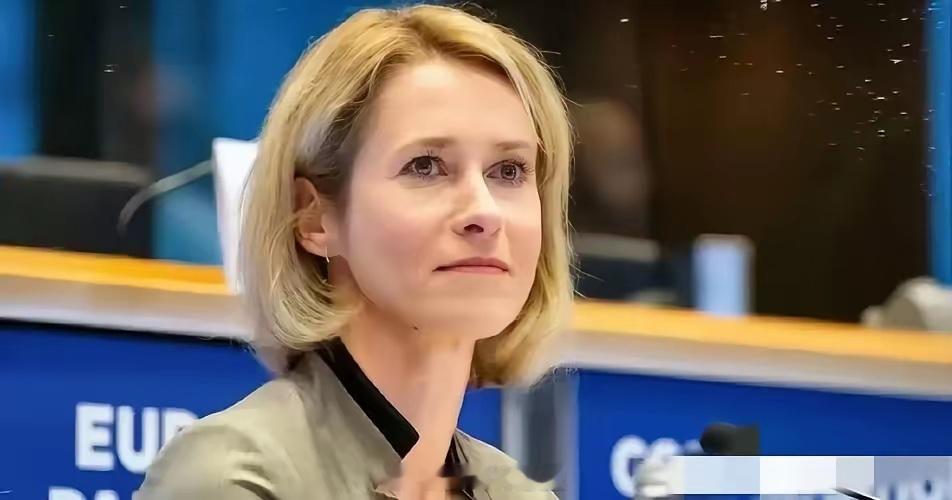 欧盟外长卡拉斯说的没错：把俄罗斯打疼了，他就会主动来谈判！这句话的逻辑没毛病，但