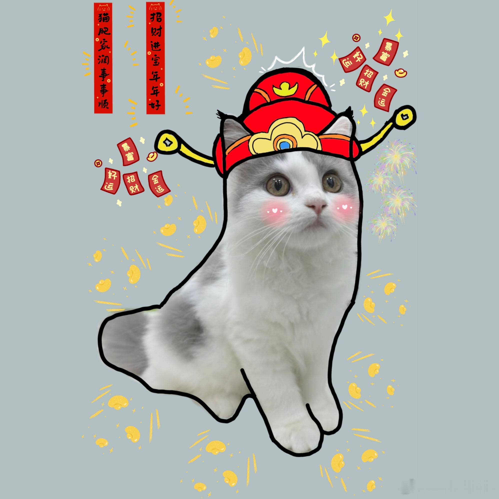 带着虎虎来㊗️大家新的一年新年行大运！万事大吉顺顺利利[doge][doge] 
