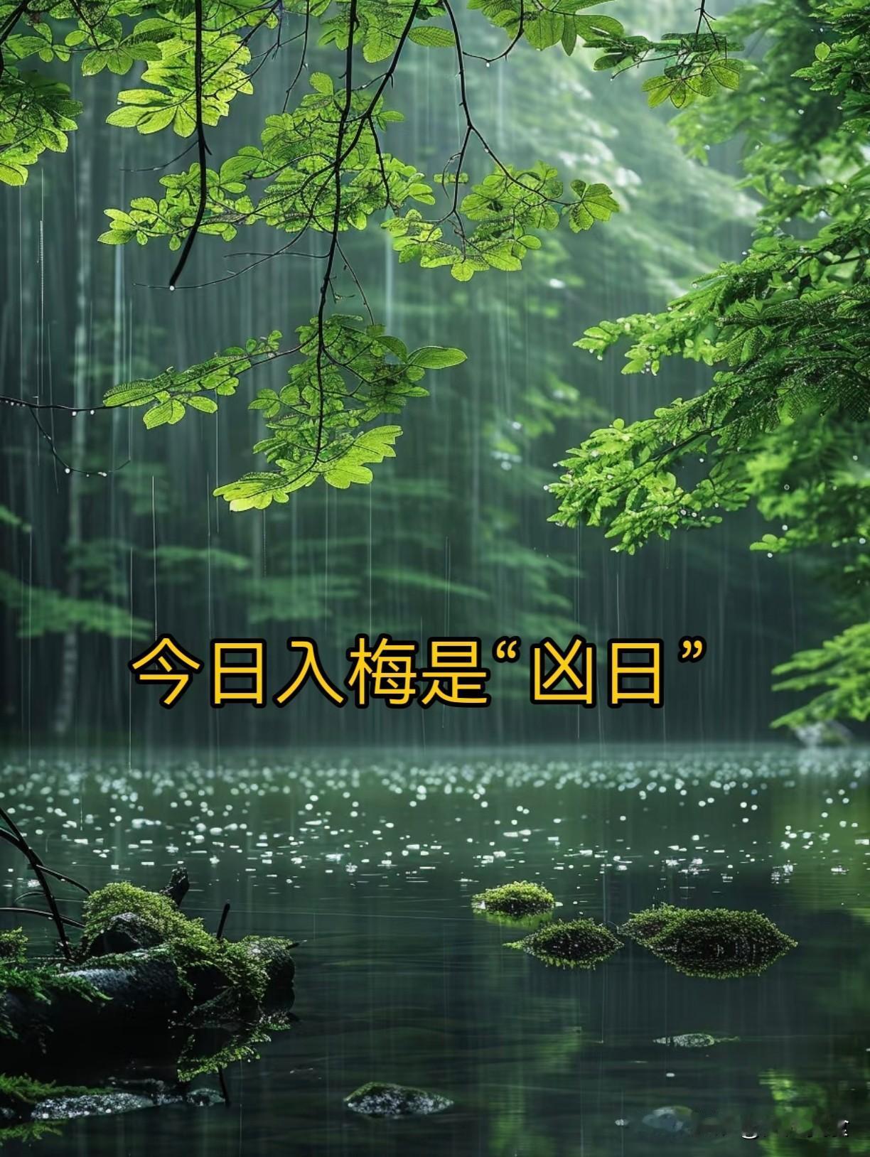 今日入梅，老话“入梅是雨天，寡妇要发愁”，入梅下雨什么预兆？
 
2026年6月