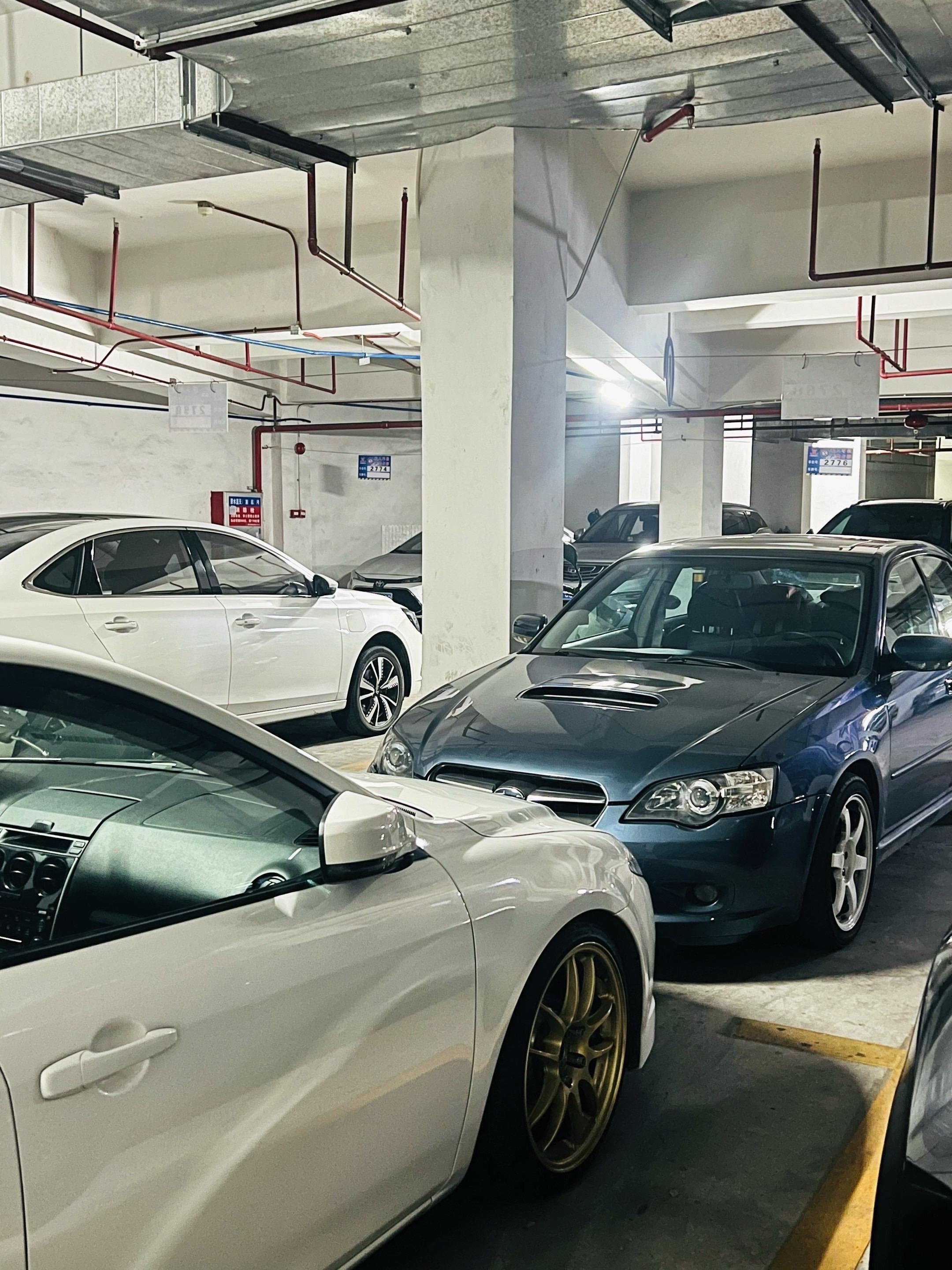 只要你对它好，它就会一直陪着你