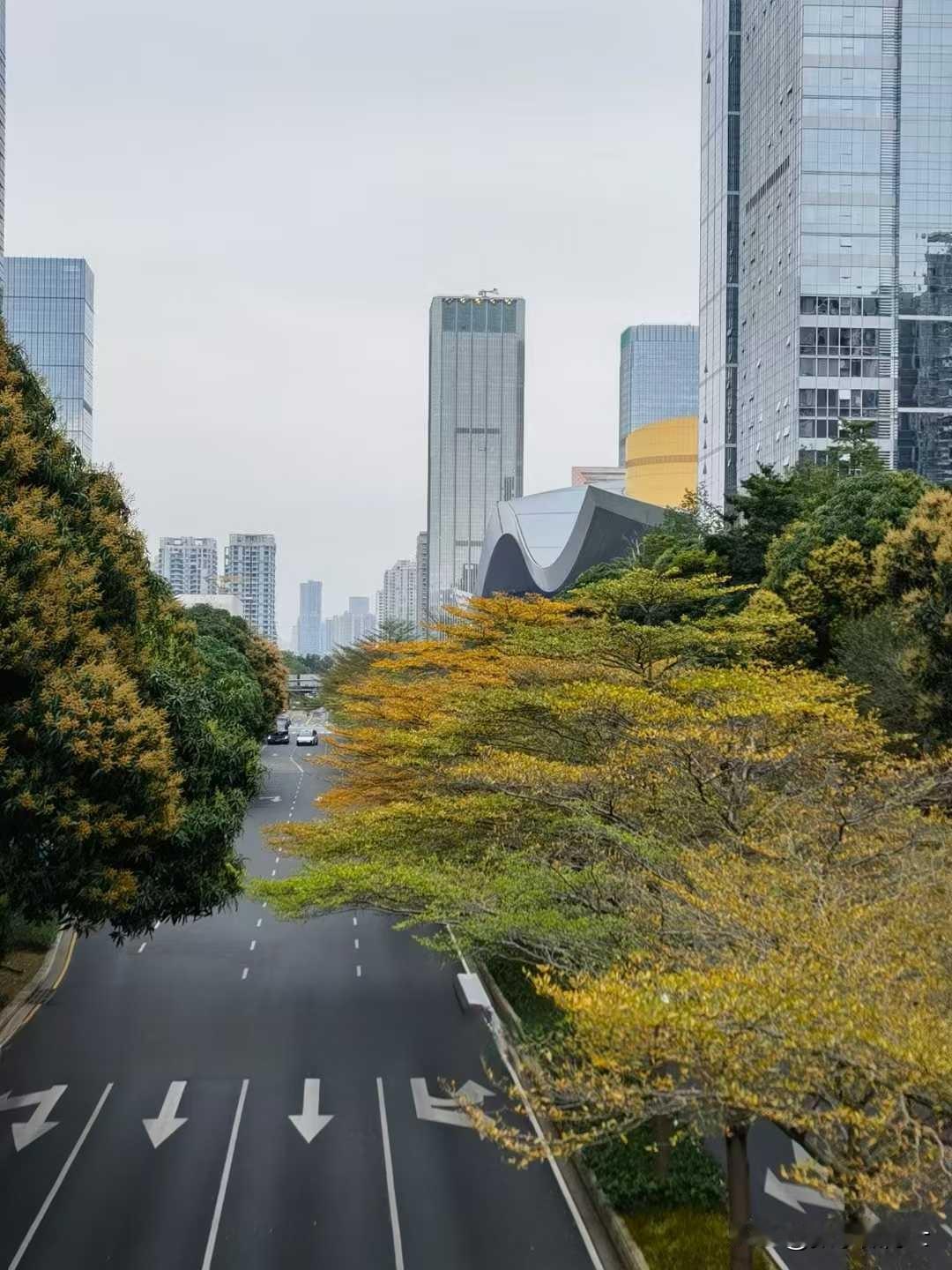 在一片热闹声中，一位卖菜的老人引起了我的注意。他的摊位前摆放的蔬菜并不多，但每一