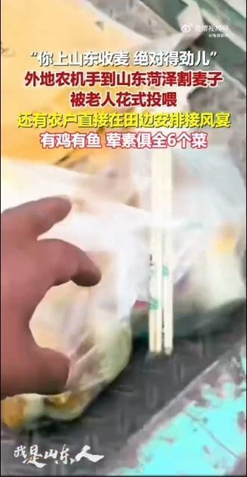 小伙来山东割麦被投喂6个菜 麦收田间一桌六样热菜，是山东农户给河南00后农机手最